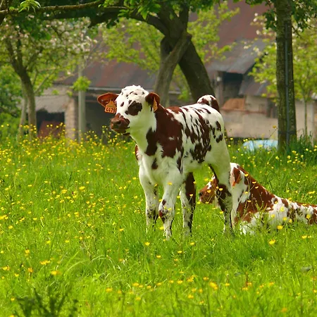 The Originals City, Le Savoy, Caen