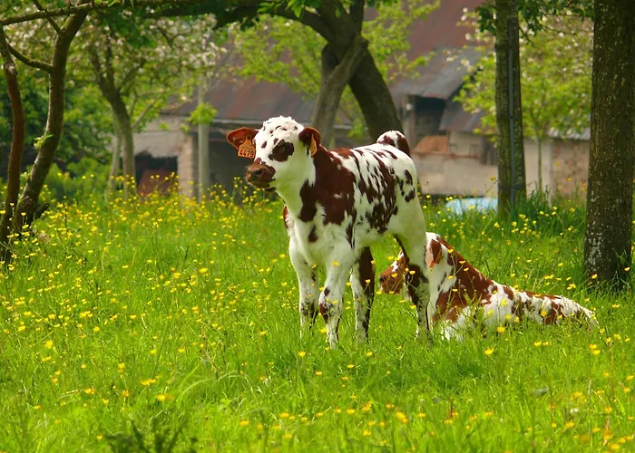 The Originals City, Le Savoy, Caen